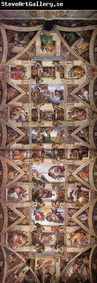Michelangelo Buonarroti The ceiling